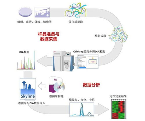 专注蛋白质组与代谢组技术服务，拜谱生物完成千万元级Pre-A轮融资
